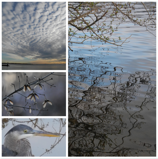 Slideshow image